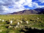 Women in a village in Ladakh are slowly coming into their own as homestay hosts as many of the men work for the Army and stay away from home for months.(Unsplash) Women in a village in Ladakh are slowly coming into their own as homestay hosts as many of the men work for the Army and stay away from home for months.(Unsplash)