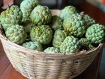 Custard apple or Sitaphal Custard apple or Sitaphal