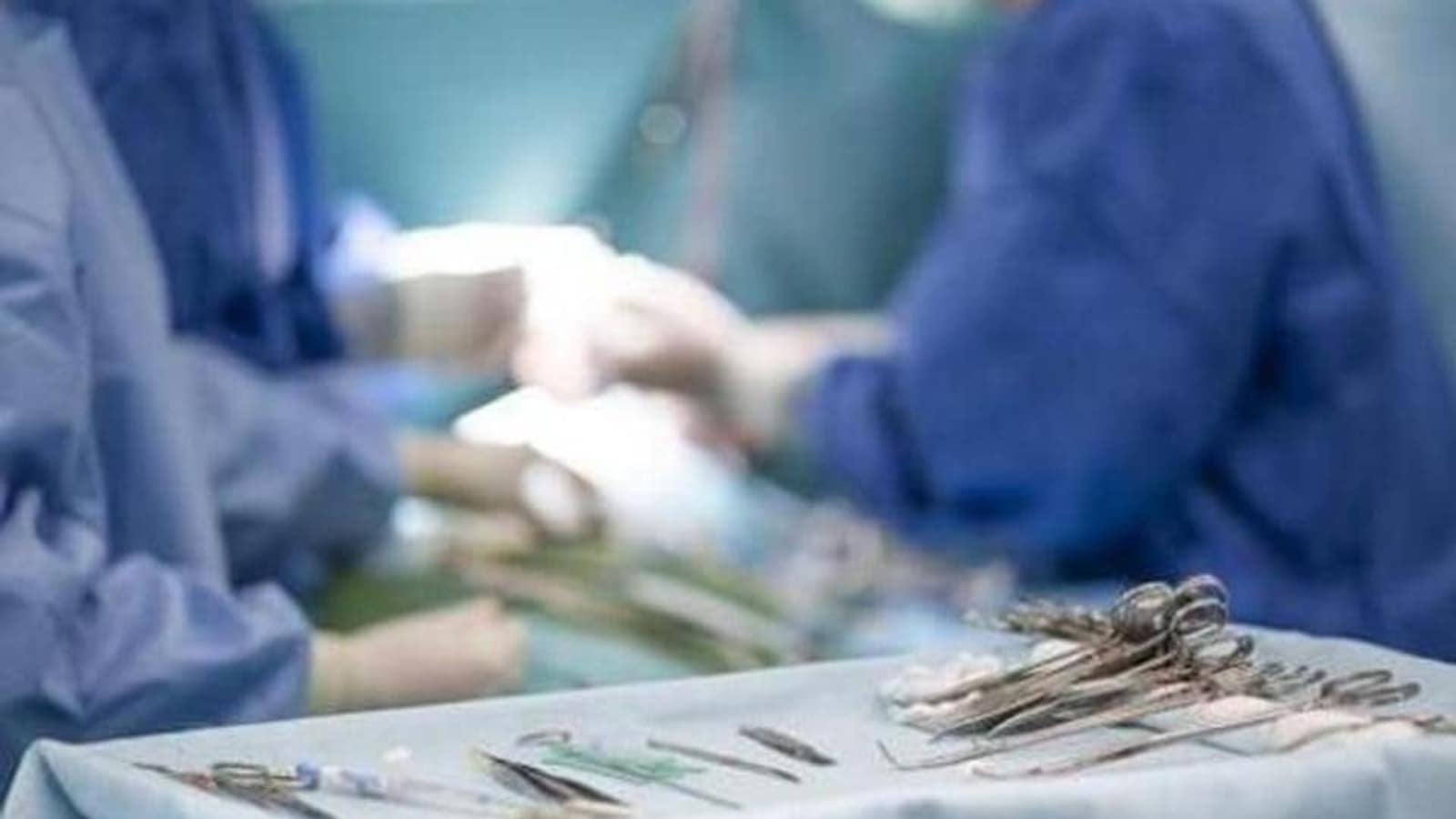인간 환자의 돼지 신장 기능;  ‘잠재적 기적’ 미국 외과의사 극찬 |  세계 뉴스