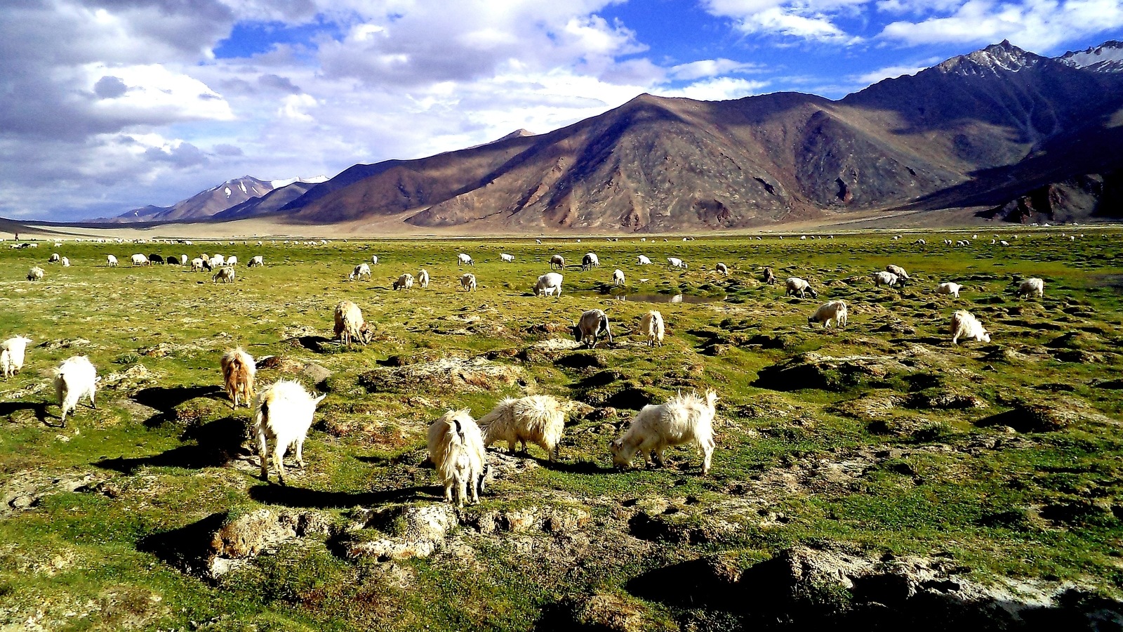 Living in Ladakh for an entire season: Understanding people & region