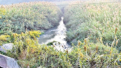 A seasonal stream, N-Choe originates in the north of Chandigarh and runs across the city, before meeting the Jagatpura drain at Manauli village in Mohali. The water finally drains into Ghaggar river. (HT Photo)