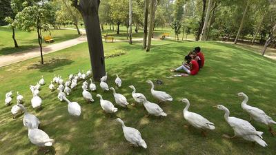 According to the DDA policy, these parks can be booked for cultural, art and school events, but no political function or wedding ceremony will be allowed. (Picture for representation only/Raj K Raj-HT) According to the DDA policy, these parks can be booked for cultural, art and school events, but no political function or wedding ceremony will be allowed. (Picture for representation only/Raj K Raj-HT)