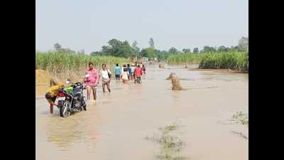 Flood-hit villagers of Tanda village in Nighasan tehsil wade through water on Thursday. (HT Photo) Flood-hit villagers of Tanda village in Nighasan tehsil wade through water on Thursday. (HT Photo)