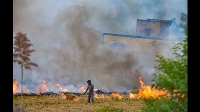 According to officials of the state pollution control board, the air quality has deteriorated with a sudden rise in incidents of stubble burning. (PTI) According to officials of the state pollution control board, the air quality has deteriorated with a sudden rise in incidents of stubble burning. (PTI)