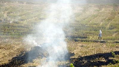 The move has been taken to minimise stubble burning and curb air pollution in the district, said the officials of agriculture department in Gautam Budh Nagar. (Sakib Ali/HT) The move has been taken to minimise stubble burning and curb air pollution in the district, said the officials of agriculture department in Gautam Budh Nagar. (Sakib Ali/HT)