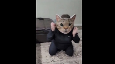 Woman plays a prank on her cats. Screengrab Woman plays a prank on her cats. Screengrab