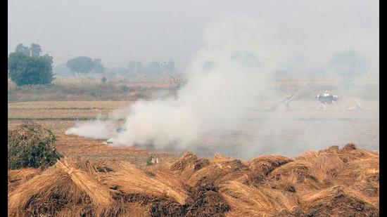 As per the air quality index (AQI) data of the Central Pollution Control Board, the average AQI of UP cities from October to January in recent years has been above 300. (Reuters file photo)
