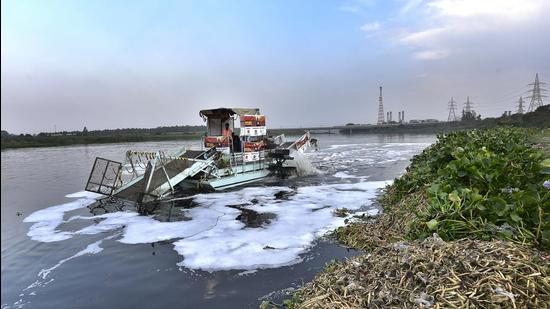 Despite so many sewage treatment plants [STPs], a large portion of the Yamuna still flows as an untreated sewage canal (Hindustan Times)