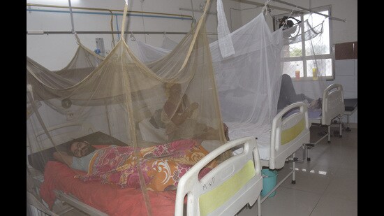 Dengue patients at Combined District Hospital, Sanjay Nagar, Ghaziabad, October 18, 2021 (Sakib Ali/HTPHOTO)