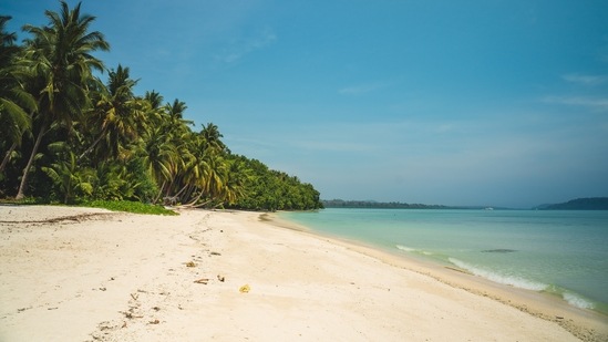 Havelock Islands, Andaman & Nicobar: Known for its pristine white-sand beaches, coral reefs and great scuba diving experience, this island is part of the stunning Ritchie's Archipelago and attracts several tourists.(Unsplash)