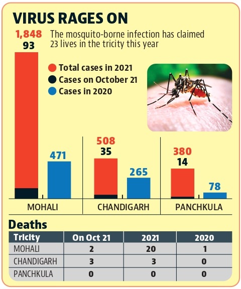 143 new infections surface in Chandigarh tricity on Thursday. (HT) 143 new infections surface in Chandigarh tricity on Thursday. (HT)