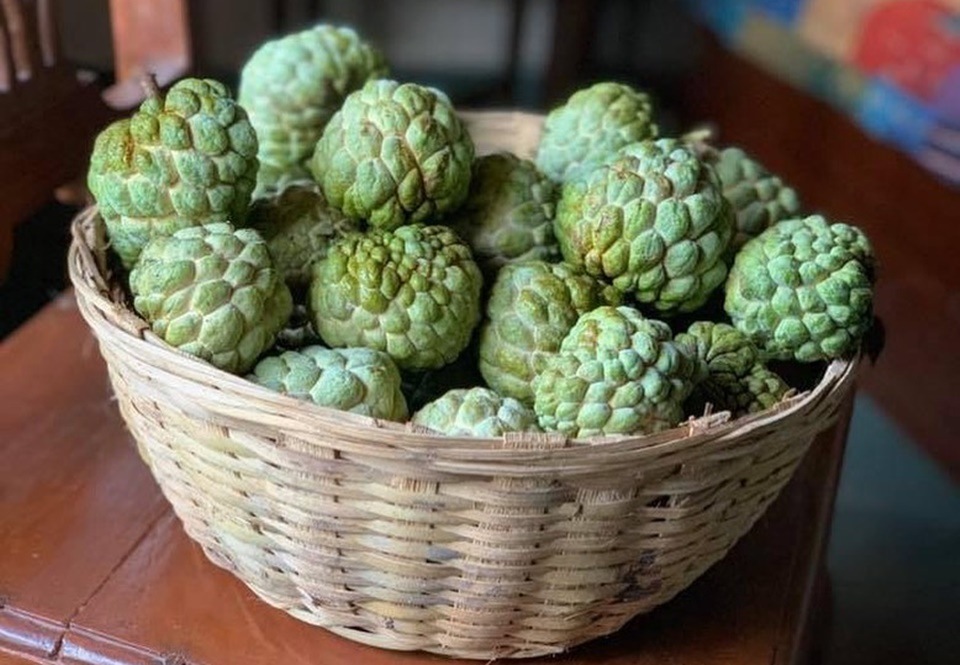 Custard apple or Sitaphal (Instagram/Rujuta Diwekar) Custard apple or Sitaphal (Instagram/Rujuta Diwekar)