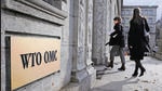 India’s apprehensions stem from WTO’s checkered past on investment (AFP) India’s apprehensions stem from WTO’s checkered past on investment (AFP)