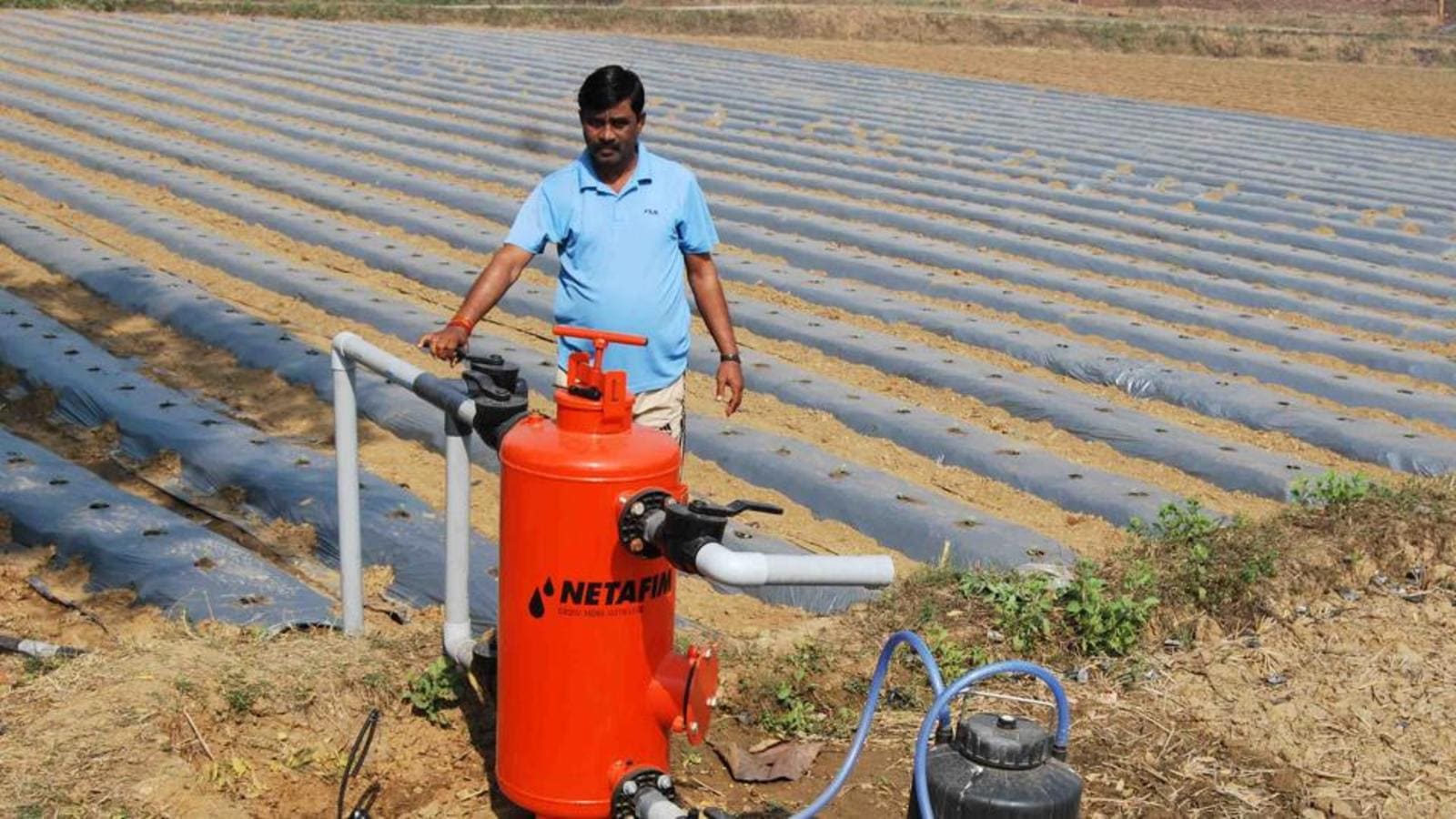 Drip irrigation Punjab offers up to 90 subsidy to farmers Hindustan Times