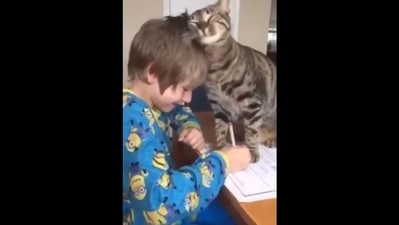 Cat walks over kid's homework (Reddit/@Tigger) Cat walks over kid's homework (Reddit/@Tigger)