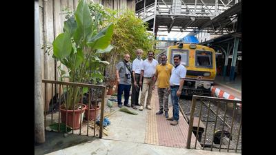 Some plants on platform No. 1 at Thane railway station. (HT PHOTO) Some plants on platform No. 1 at Thane railway station. (HT PHOTO)