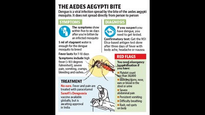 As many as 117 cases of dengue have been reported from Hisar, 75 from Jhajjar and 273 from Sonepat, so far. As many as 117 cases of dengue have been reported from Hisar, 75 from Jhajjar and 273 from Sonepat, so far.