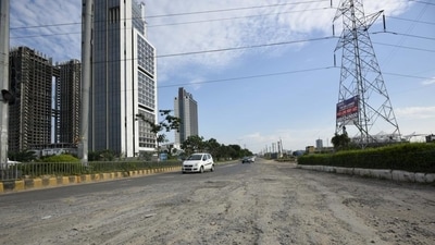 The Manohar Lal Khattar-government said that “the task is beyond its capacity” because nearly 40% of land in the state is considered forest land in the terms of the Supreme Court’s 2018 judgment. (Parveen Kumar/HT Photo) (HT_PRINT)