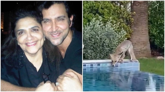Hrithik Roshan shared a message for his mother Pinkie Roshan on her birthday.