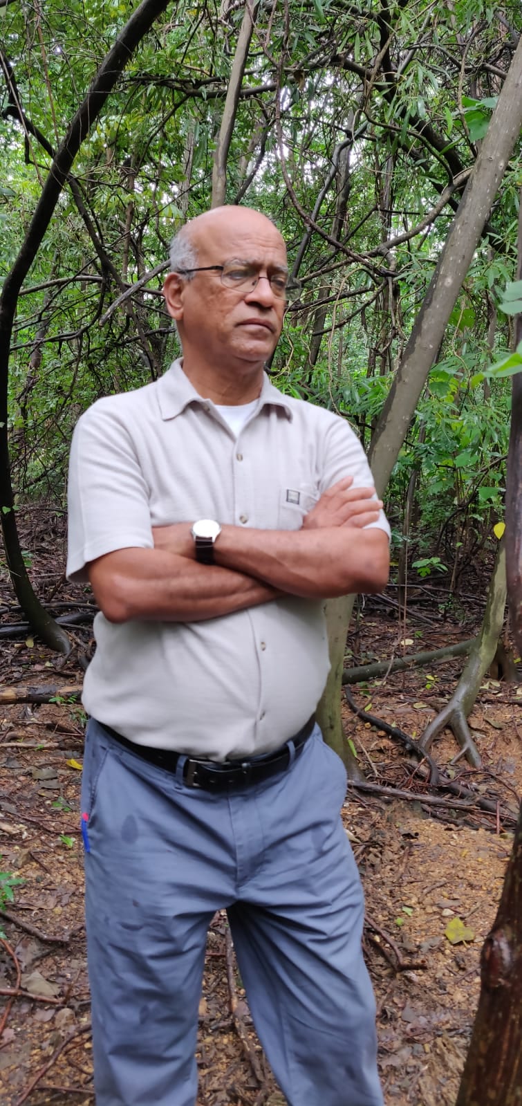 ‘I can’t call it doomsday just yet. We live on the hope that even now the world community can come to an agreement on how and how fast we can reduce carbon dioxide emissions,’ Ravindranath says. ‘I can’t call it doomsday just yet. We live on the hope that even now the world community can come to an agreement on how and how fast we can reduce carbon dioxide emissions,’ Ravindranath says.