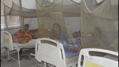 Over 15 patients, suffering from dengue symptoms, are getting admitted to major private hospitals in Chandigarh tricity area daily, forcing them to turn away many. (HT Photo) Over 15 patients, suffering from dengue symptoms, are getting admitted to major private hospitals in Chandigarh tricity area daily, forcing them to turn away many. (HT Photo)