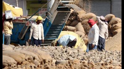 Police in association with officials of the food and civil supplies have put up special check posts on Punjab-Haryana border to stop the flow of paddy from other states, especially Uttar Pradesh.
