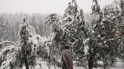 Heavy snowfall is expected to continue in Jammu and Kashmir. (Waseem Andrabi/HT Photo)