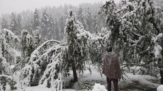 Moderate snowfall was witnessed in Gulmarg, Sonamarg, Pahalgam, Shopian and Gurez areas of the valley, officials said.(HT Photo/Waseem Andrabi)