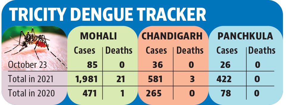 Mohali is the worst-affected by the dengue outbreak with 1,981 confirmed cases this year. (HT) Mohali is the worst-affected by the dengue outbreak with 1,981 confirmed cases this year. (HT)