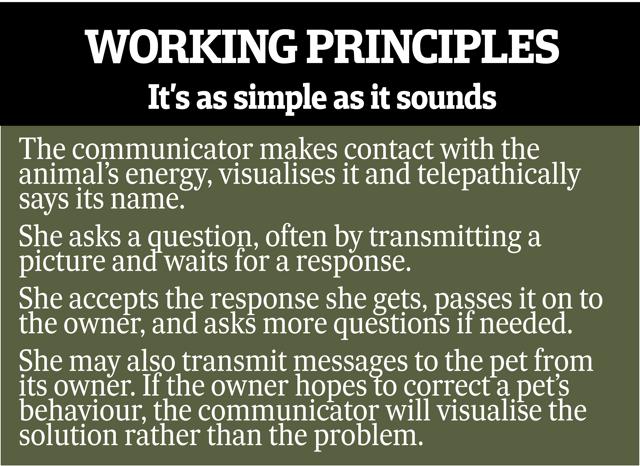 How to communicate with your baby How to communicate with your baby