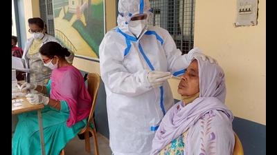 The number of active Covid cases in Punjab stands at 229.