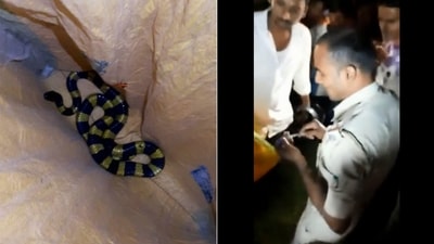 The image shows the forest official and the rescued snake. (Twitter/@DipakKrIAS)