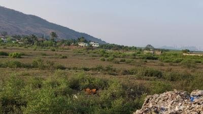 The JNPT will now handover the mangrove at Uran to the forest department for safekeeping as per orders of the Bombay high court (HC), officials said. The JNPT will now handover the mangrove at Uran to the forest department for safekeeping as per orders of the Bombay high court (HC), officials said.
