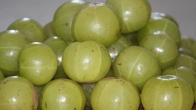 Amla juice: It contains anti microbial qualities that aid in the treatment of dandruff, dryness and flaky scalp. (Pixabay) Amla juice: It contains anti microbial qualities that aid in the treatment of dandruff, dryness and flaky scalp. (Pixabay)