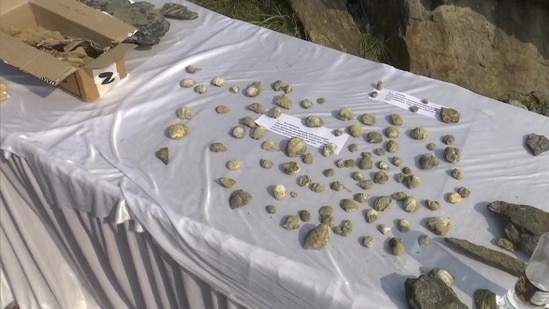 Jammu and Kashmir: Fossils, over 250 million years old, displayed at the Saturday workshop of the Guryul Ravine fossil site in Khanmoh.&nbsp;(Photo via ANI)