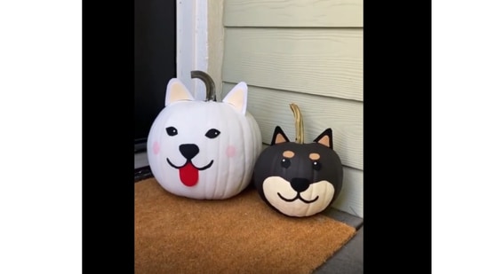 A person draws the face of the two dogs on two different pumpkins. Screengrab