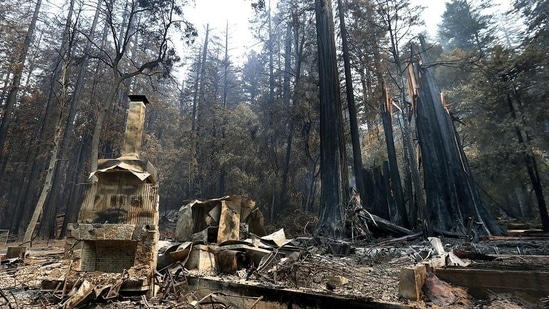 What worries climatologists is not so much the size of California’s wildfires, which have long rejuvenated forests and chaparral, but their ferocity. (AP) What worries climatologists is not so much the size of California’s wildfires, which have long rejuvenated forests and chaparral, but their ferocity. (AP)