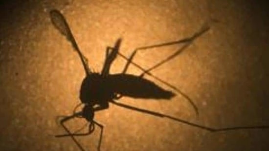 Uttar Pradesh on Sunday reported the first case of Zika virus, a health official told news agency PTI. Uttar Pradesh on Sunday reported the first case of Zika virus, a health official told news agency PTI.