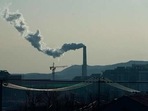 Climate change lowers nutrition, increases toxicity at base of food web: Study Climate change lowers nutrition, increases toxicity at base of food web: Study