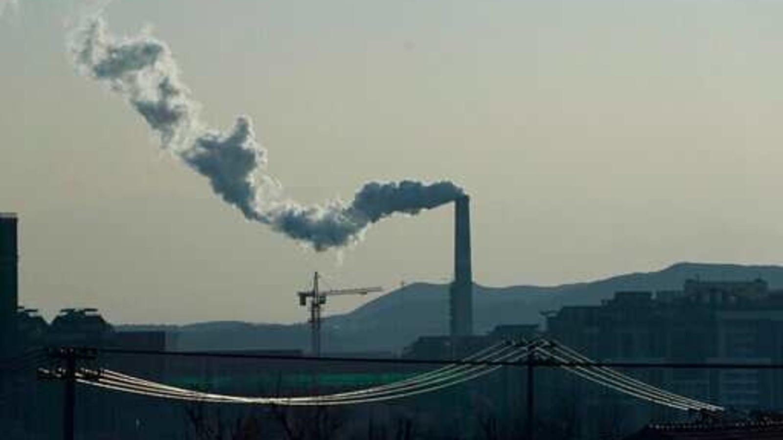Climate change lowers nutrition and increases toxicity at base of food ... Biology Diagrams
