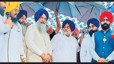 Shiromani Akali Dal (SAD) president Sukhbir Singh Badal had on Sunday held a protest against the auction of the panchayat land at Bari village in Mohali.