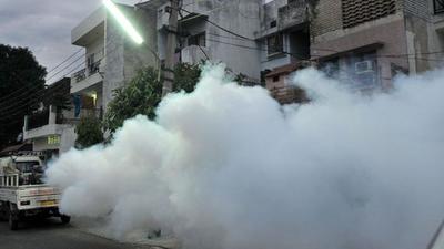 Among the 24 deaths due to dengue in Mohali this year, 22 took place in October alone and two in September. Among the 24 deaths due to dengue in Mohali this year, 22 took place in October alone and two in September.