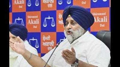 Akali Dal president Sukhbir Singh Badal said the factionalism in Congress has badly hit governance in Punjab with CM Charanjit ISingh Channi not being able to deliver. (HT File Photo/)
