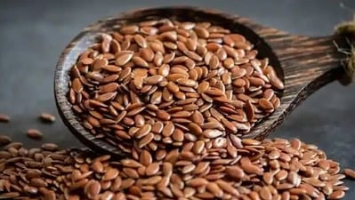 Rich in dietary fibre: The lignans and fibre in flaxseeds can also help prevent cardiovascular diseases. (Instagram) Rich in dietary fibre: The lignans and fibre in flaxseeds can also help prevent cardiovascular diseases. (Instagram)