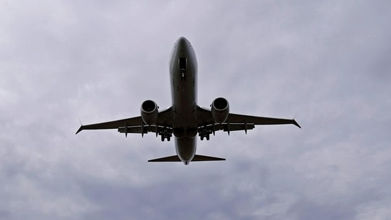 American Airlines Boeing 737 MAX 8 flight from Los Angeles. (Image for Representation) (REUTERS File)