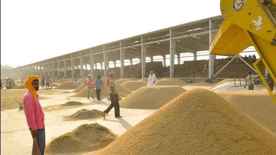 CM Channi has also directed Punjab mandi board to ensure that arhtiyas take immediate steps to dry paddy, wherever it had gained moisture, in order to facilitate its early purchase. (HT photo)