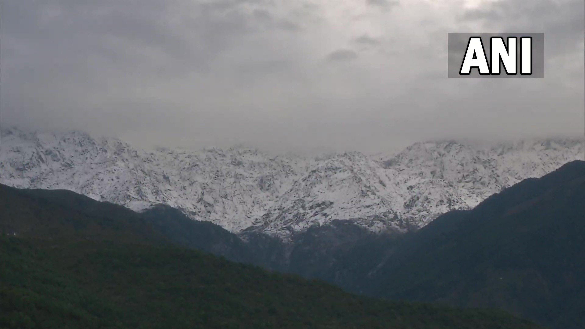 Snow capped Dhauladhar mountains in Dharamshala, Himachal Pradesh. (ANI)