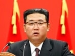 'Malicious slander': North Korea dismisses UN rights investigator report