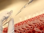 Dr Rajesh S Gokhale is the new department of biotechnology secretary of government.(REUTERS) Dr Rajesh S Gokhale is the new department of biotechnology secretary of government.(REUTERS)