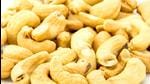 A representative photo. Kerala farmer Aniyamma Baby has developed an innovative way to protect cashew gardens. (File photo/ By arrangement) A representative photo. Kerala farmer Aniyamma Baby has developed an innovative way to protect cashew gardens. (File photo/ By arrangement)